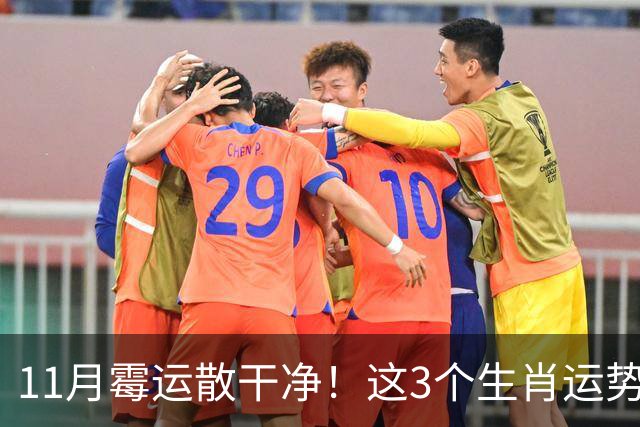 11月霉运散干净！这3个生肖运势提升一大截，机会挨个上门